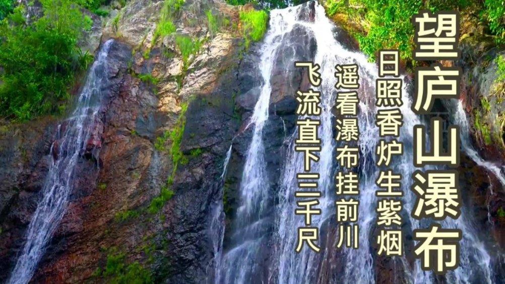 救援小橘猫